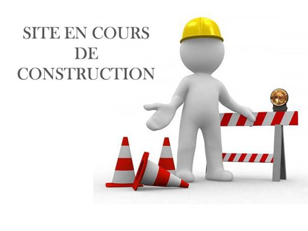 site-en-cours.jpg